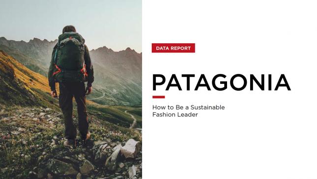 data-report--patagonia-092021-retviews