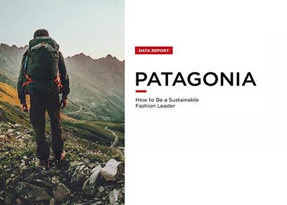 data-report-retviews-patagonia-vignette