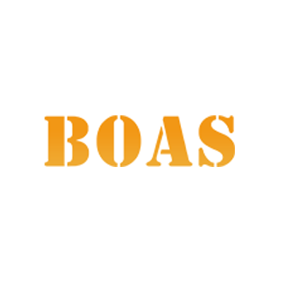 Boas Logo for Lectra